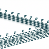 Discord TeamSpeak ユーザー大移動 年齢認証