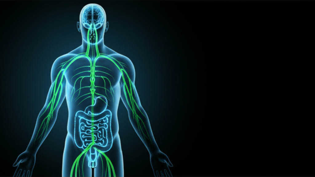 脳の外のニューロン 腸脳相関