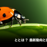 Coccinelleとは？最新動向と実務インパクト