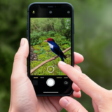 Wildex 野生動物発見アプリ ポケモンGOリアル版